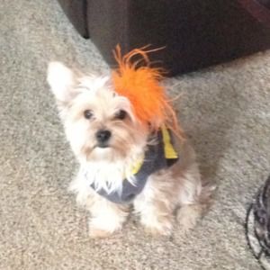 Meet your Posher, Lisa